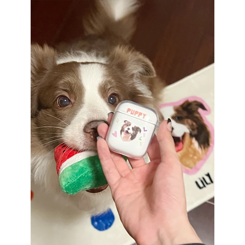Custom AirPods Case