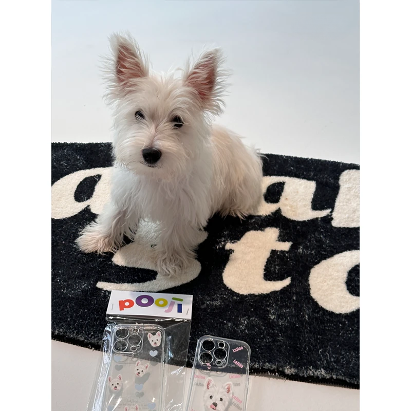 Custom iPhone Clear Case with Pet Photo