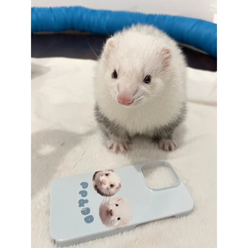 Custom iPhone Case with Pet Photo