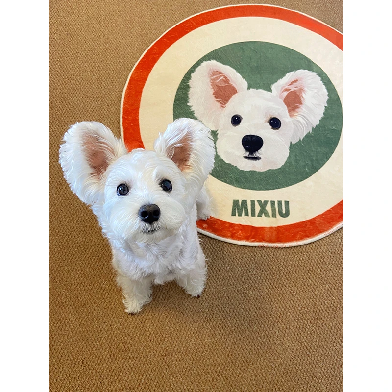 Custom Rug with Pet Face