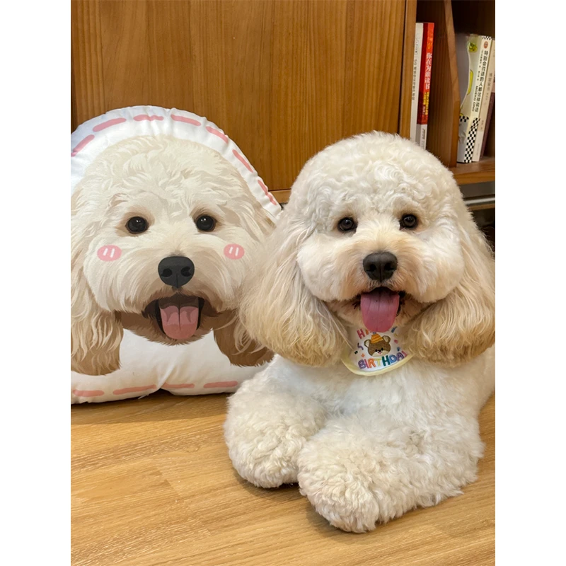 Custom Pillow with Pet Photo
