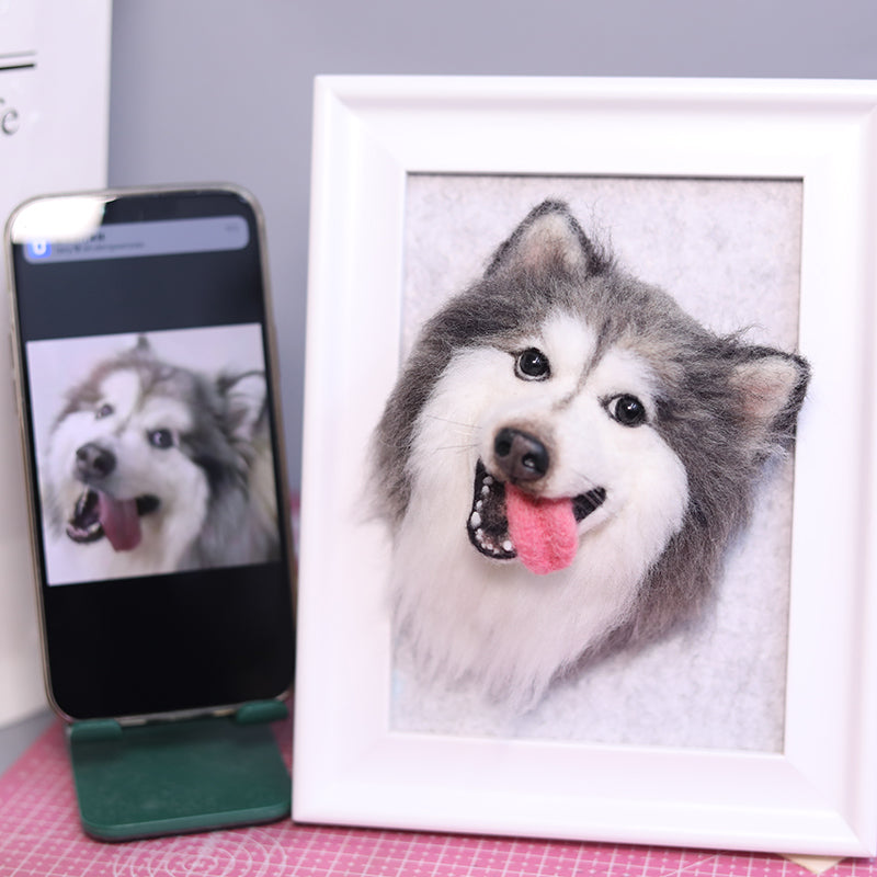 3D Felt Pet Portrait - Handmade Custom Frame | PawsClone