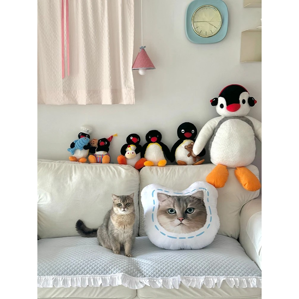 Custom Pillow with Pet Photo