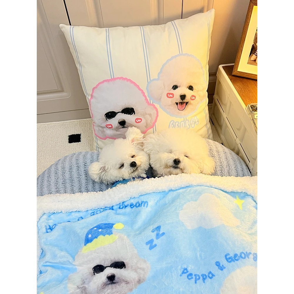 Custom Pillow with Pet Photo