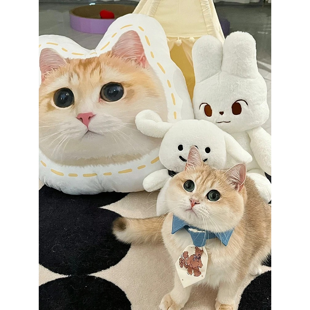 Custom Pillow with Pet Photo