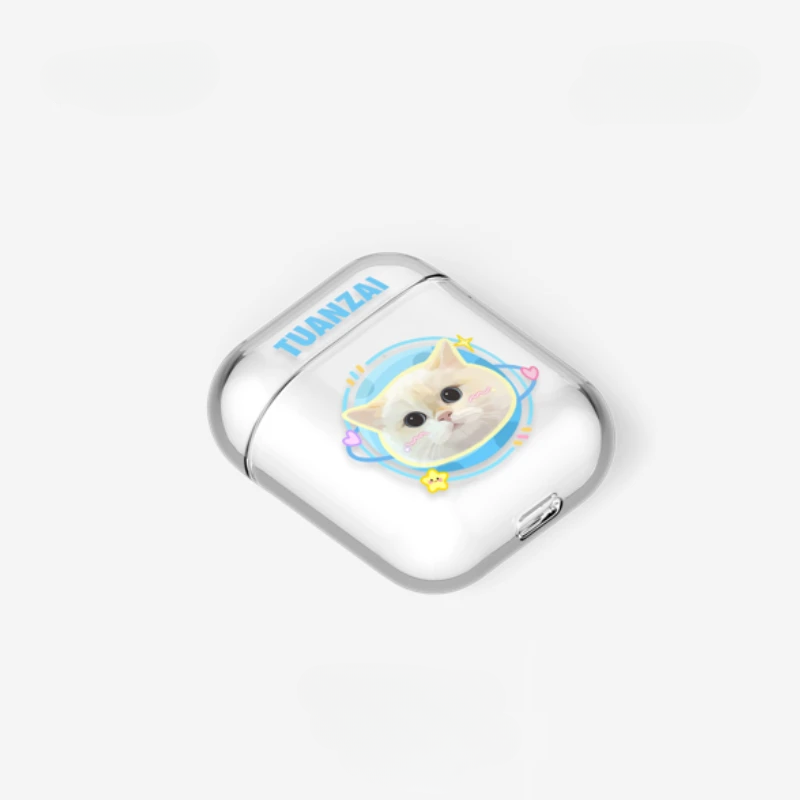 Custom AirPods Case