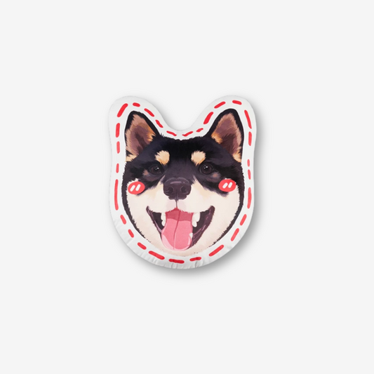 Custom Pillow with Pet Photo