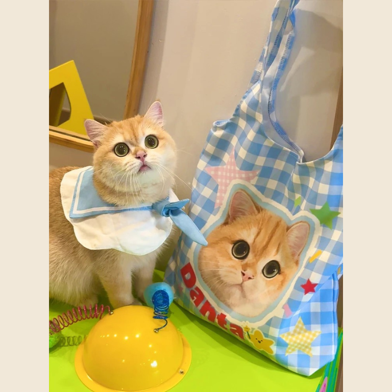 Custom Canva Bag with Pet Photo