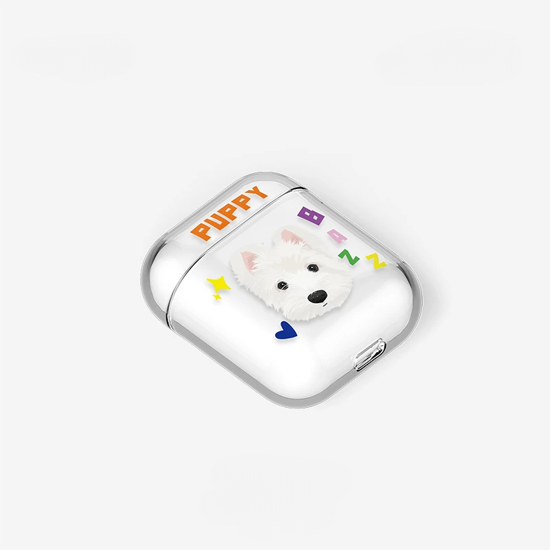Custom AirPods Case
